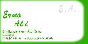 erno ali business card